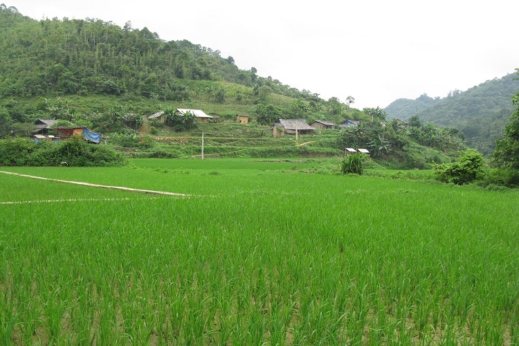 TP.HCM: Những quy định giải quyết tranh chấp đất đai cần phải biết TP.HCM: Những quy định giải quyết tranh chấp đất đai cần phải biết